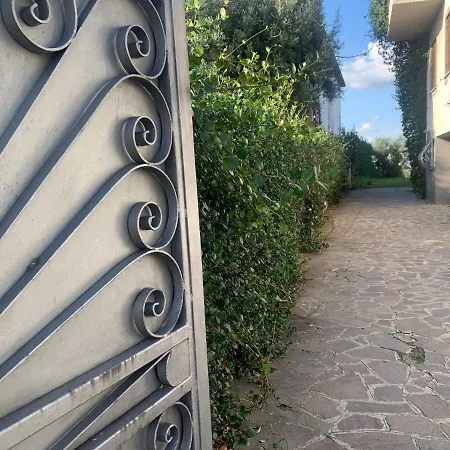 Maximo *